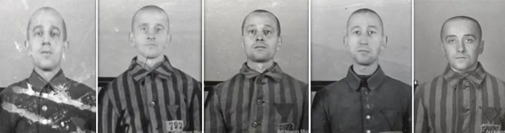 Bracia Kupcowie, więźniowie KL Auschwitz, fotografie obozowe z archiwum
