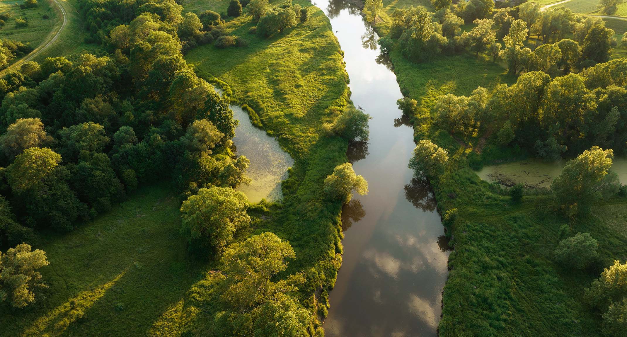 Rezerwat Przyrody Dolina Dolnej Soły – widok z lotu ptaka na rzekę i zieleń w okolicach Oświęcimia